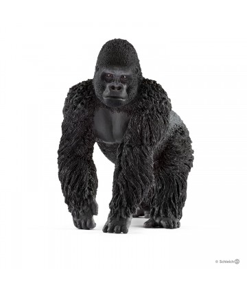 Wild life - Gorille mâle