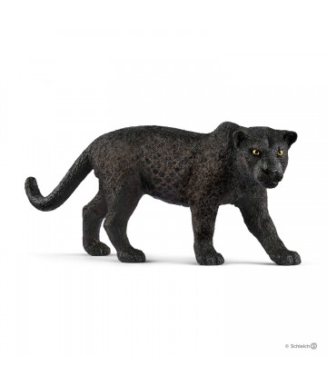 Wild life - Panthère noire