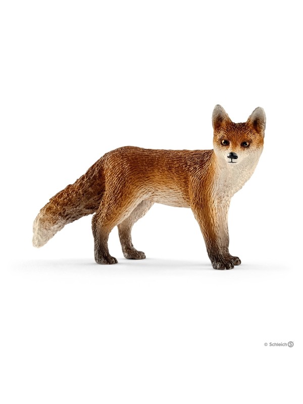 Wild life - Renard