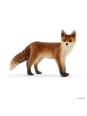 Wild life - Renard