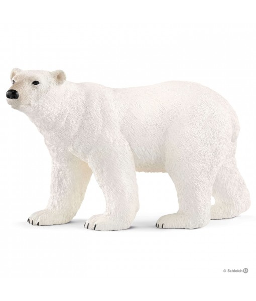 Wild life - Ours polaire