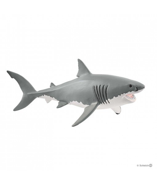 Wild life - Requin blanc