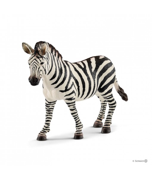 Wild life - Zébrelle