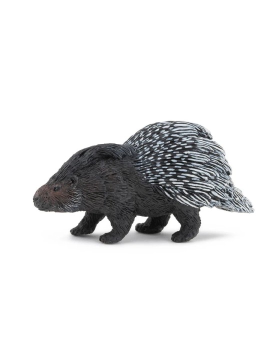Porc-épic
