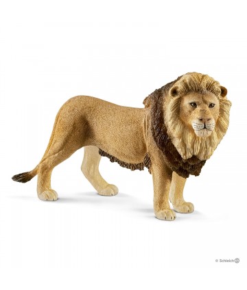 Wild life - Lion