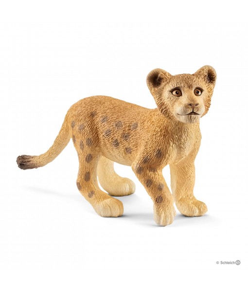Wild life - Lionceau
