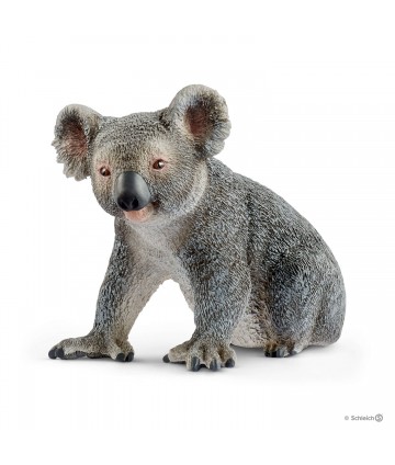 Wild life - Koala