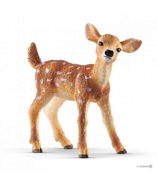 Wild life - Faon de Virginie