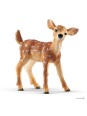 Wild life - Faon de Virginie