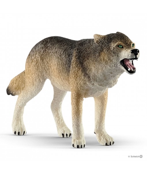 Wild life - Loup