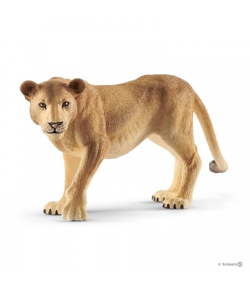 Wild life - Lionne