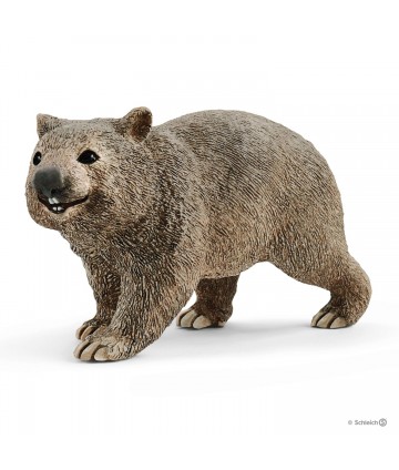 Wild life - Wombat