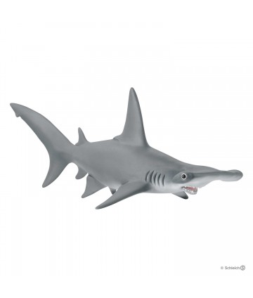 Wild life - Requin marteau
