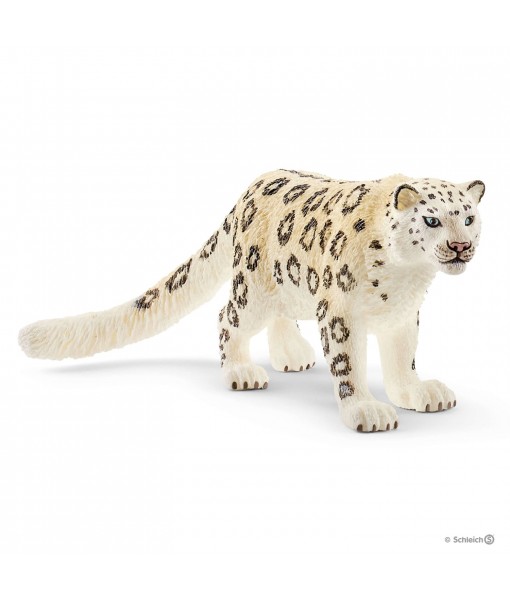 Wild life - Léopard des neiges