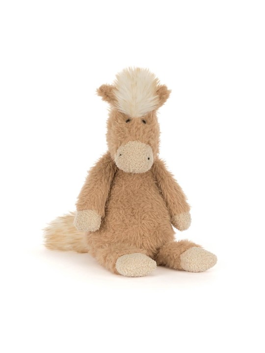 Canterneigh pony