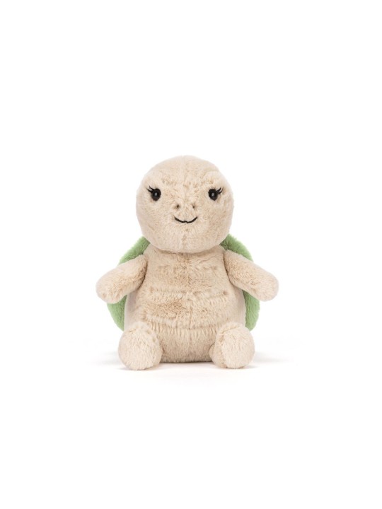 Thimble turtle