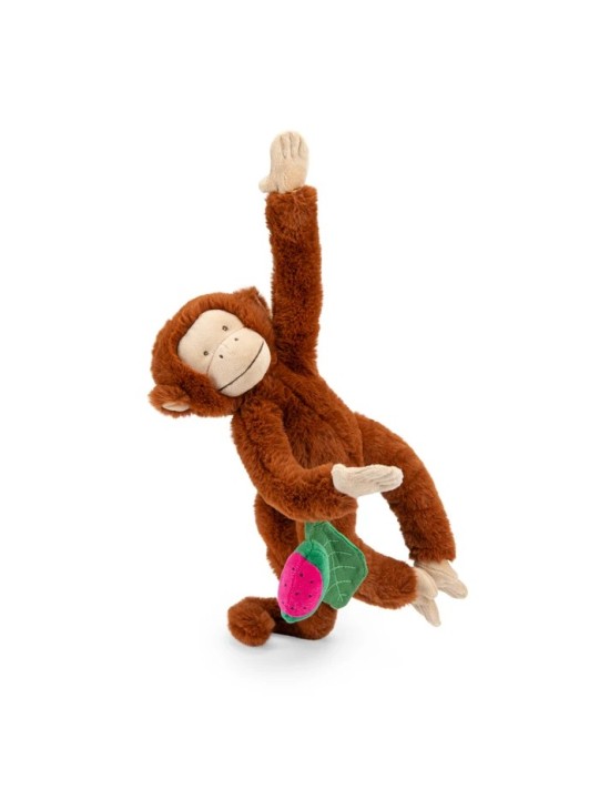 Singe Mochica d'activités à suspendre La forêt Mawa