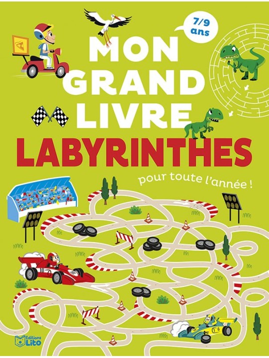 Mon grand livre de labyrinthes pour toute l'année