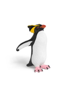 Wild life - Gorfou sauteur