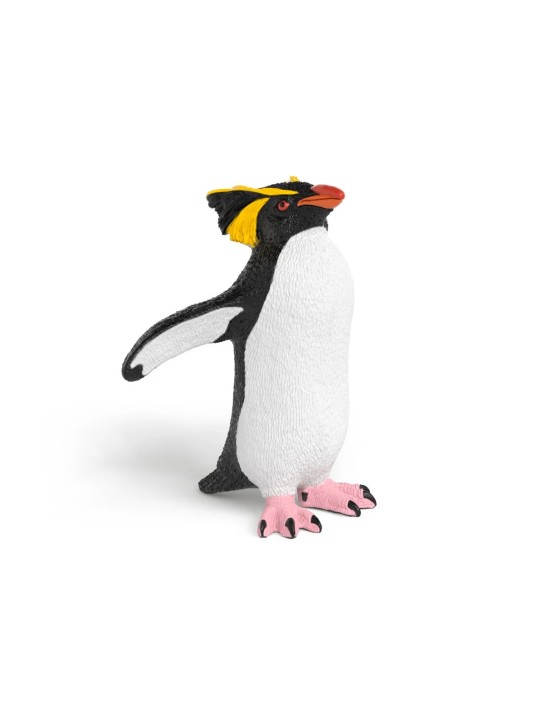 Wild life - Gorfou sauteur