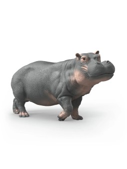 Wild life - Hippotame