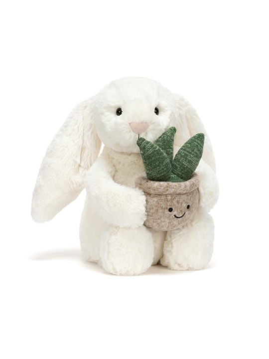 Cream bunnyn with plant