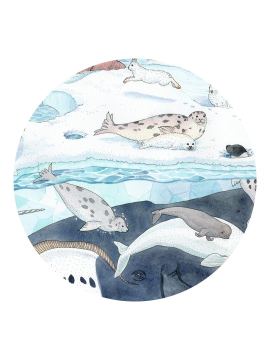 Puzzle silhouette - Douceur polaire 54 pièces