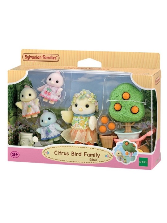 Famille oiseau citrus