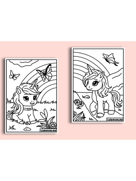 Mini duo coloriages velours licornes