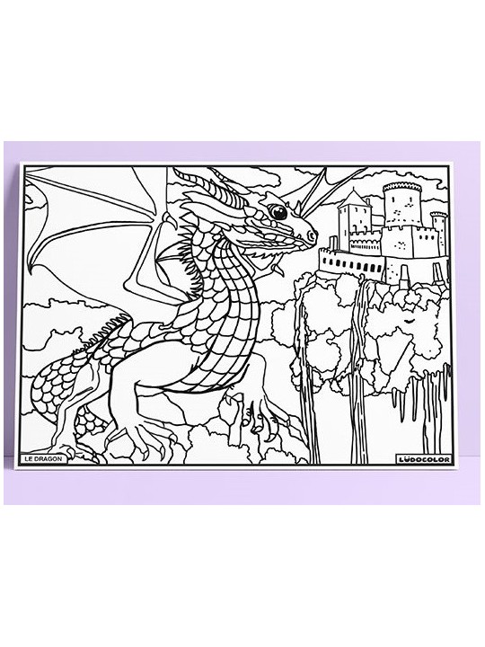 Tableau coloriage velours le dragon