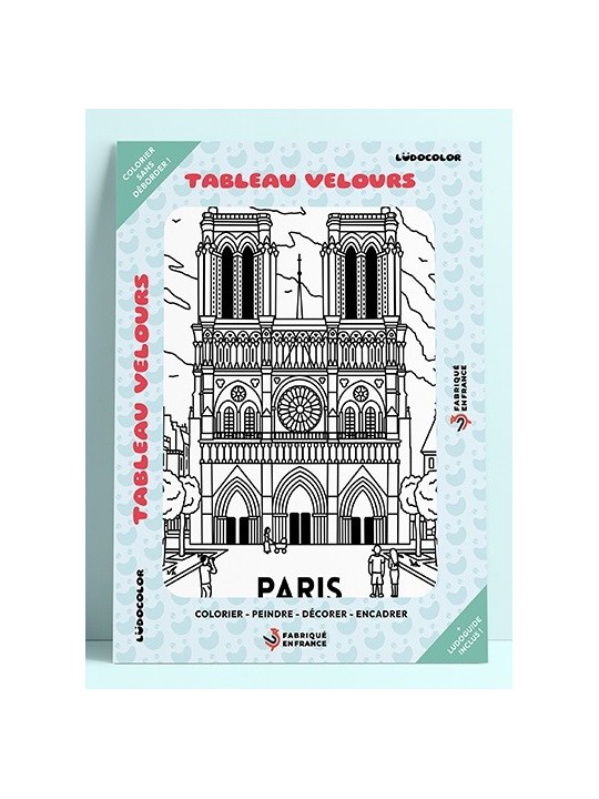 Tableau coloriage velours la cathédrale Notre Dame