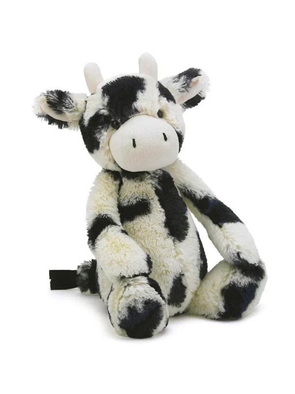 Bashful calf medium