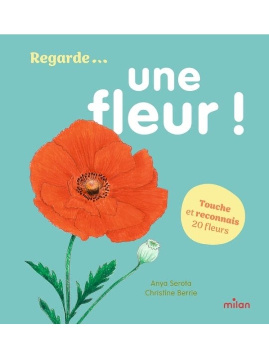 Regarde ... Une fleur !