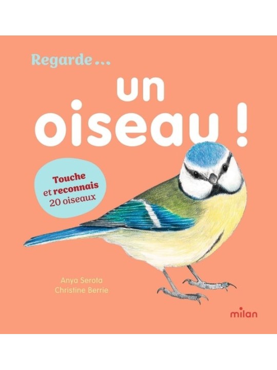 Regarde ... Un oiseau !