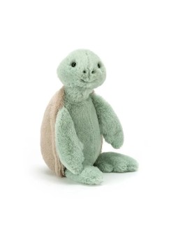 Bashful turtle medium