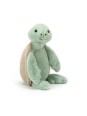 Bashful turtle medium