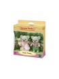 Famille Koala