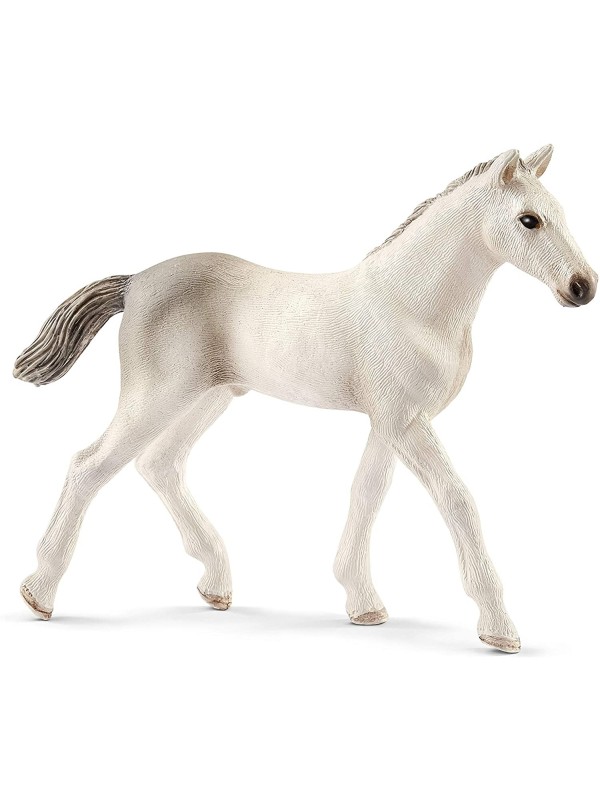 Horse club - Poulain Holstein