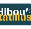 Hiboutatillus